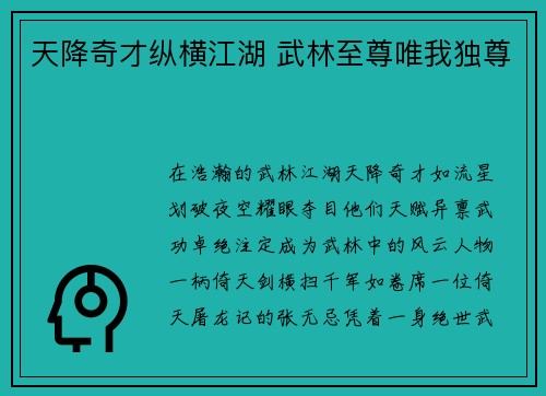 天降奇才纵横江湖 武林至尊唯我独尊